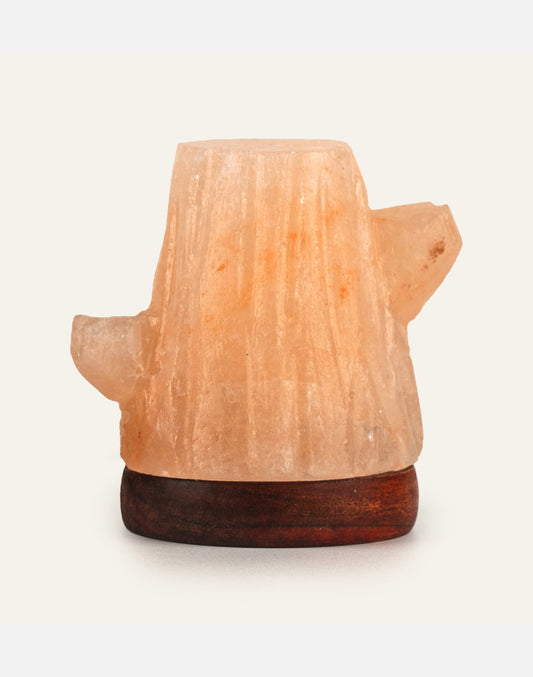 Himalayan Salt Tree RGB Lamp