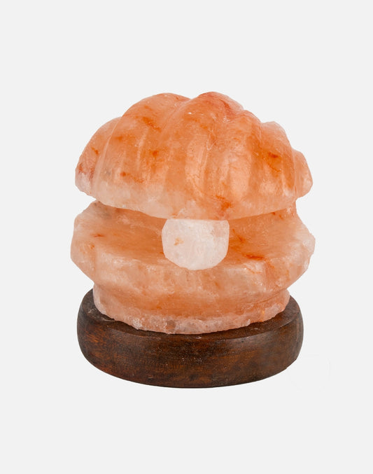 Himalayan Salt Shell Pearl RGB Lamp