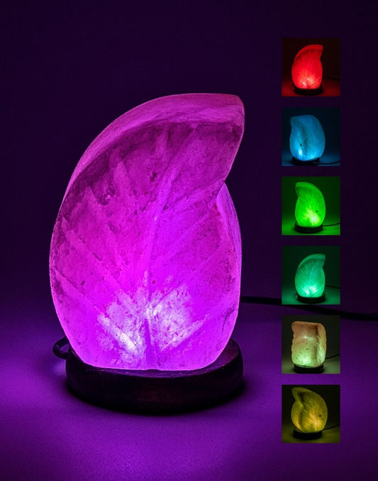 Himalayan Salt Leaf RGB Lamp