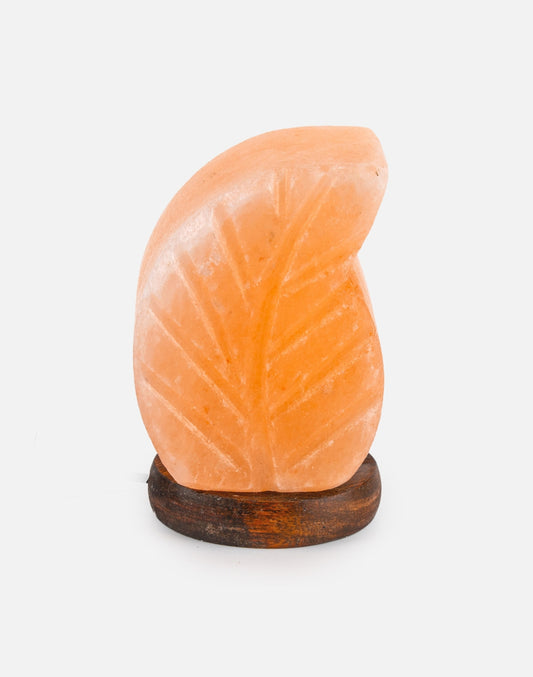 Himalayan Salt Leaf RGB Lamp