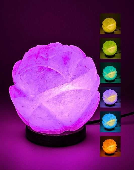 Himalayan Salt Bowl Flower RGB Lamp