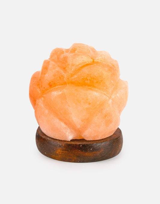 Himalayan Salt Bowl Flower RGB Lamp