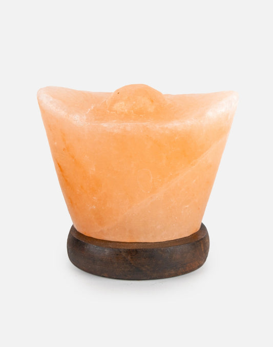 Himalayan Salt Boat RGB Lamp
