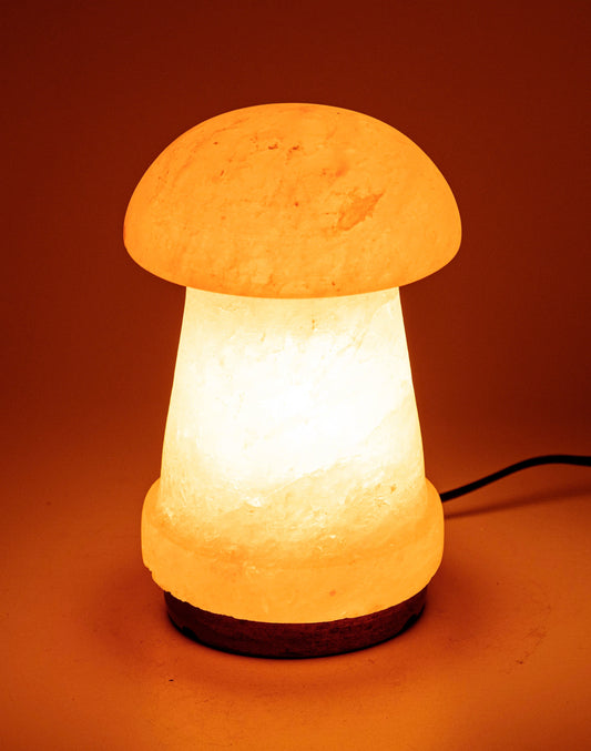 Himalayan Mushroom Warm Light Lamp