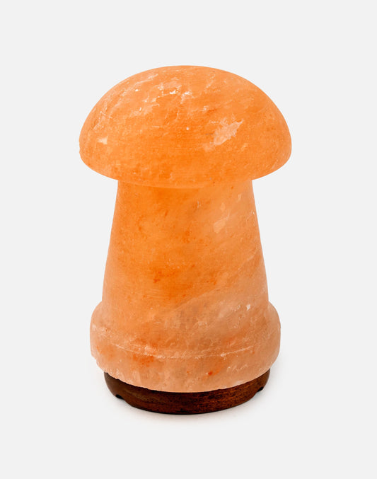 Himalayan Mushroom Warm Light Lamp
