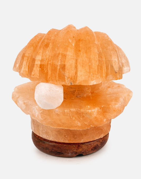 Himalayan Shell Pearl Warm Light Lamp