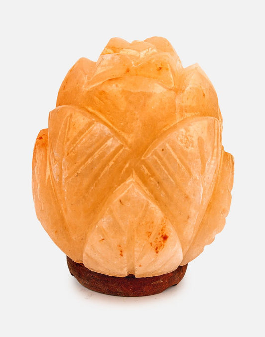 Himalayan Rose Ball Warm Light Lamp