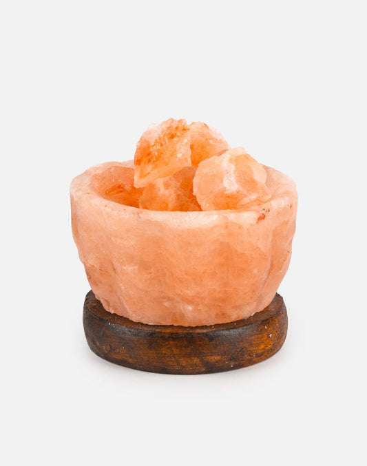 Himalayan Salt Bowl with Ice Cube RGB Lamp