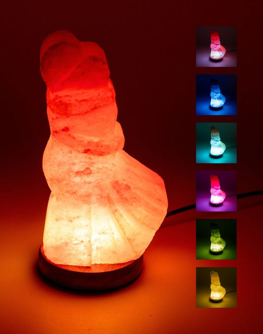 Himalayan Salt Couple RGB Lamp