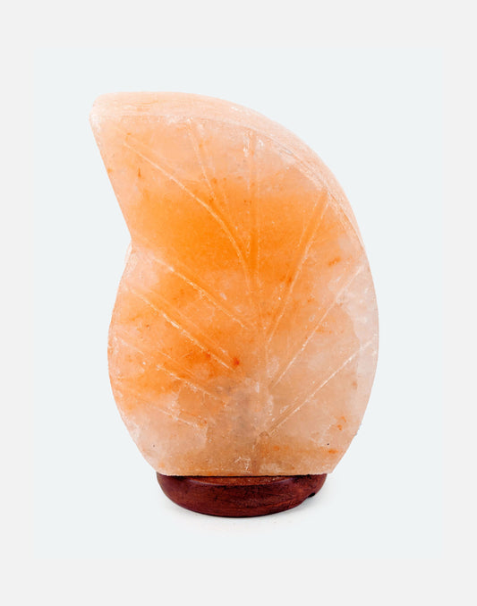 Himalayan Leaf Warm Light Lamp