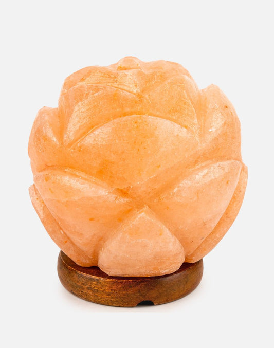 Himalayan Rose Flower Warm Light Lamp